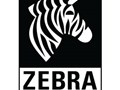 Zebra 48766-001