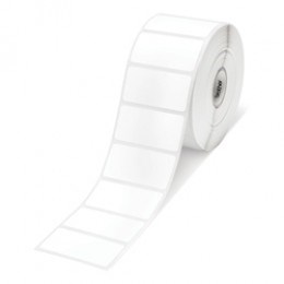 Normal paper (vellum) (roll